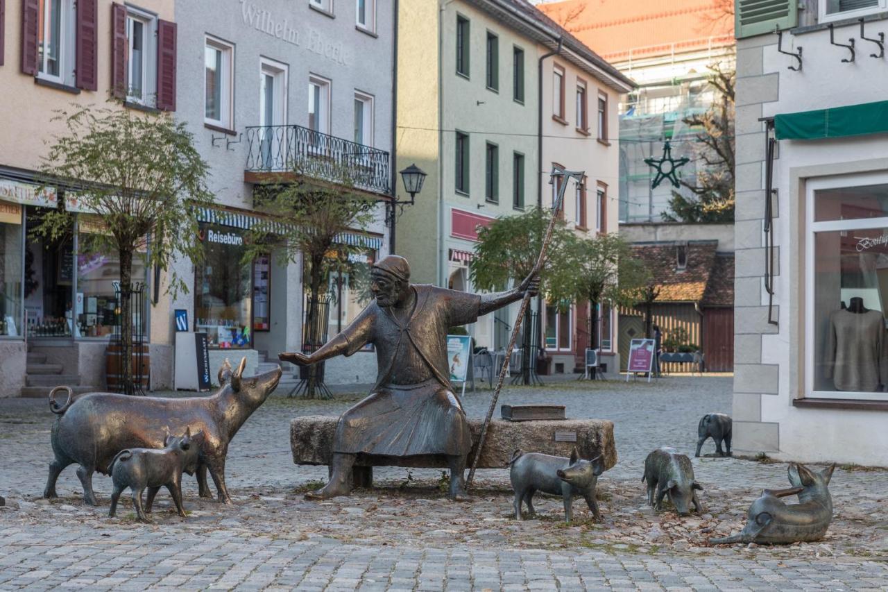 Wangen im Allgäu 1 Zimmer-Appartement Nr 4 מראה חיצוני תמונה